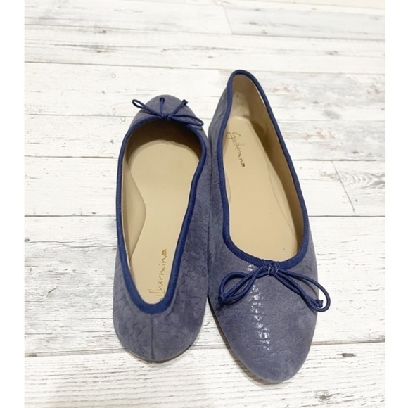 Guilhermina Mirabella Ballet Flats for Anthropology Sz 8. - Picture 5 of 9